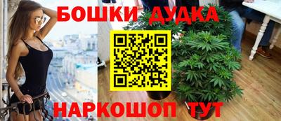 стафф Ставрополь