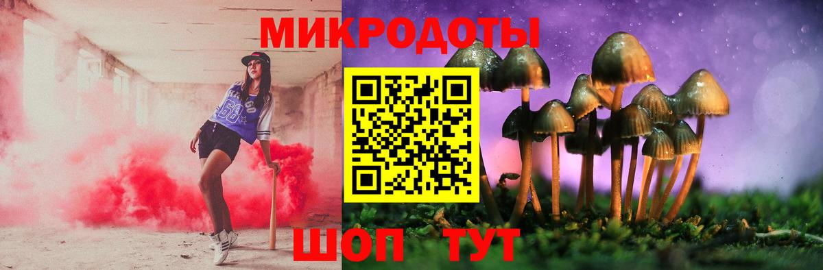 Псилоцибиновые грибы мицелий Ярцево